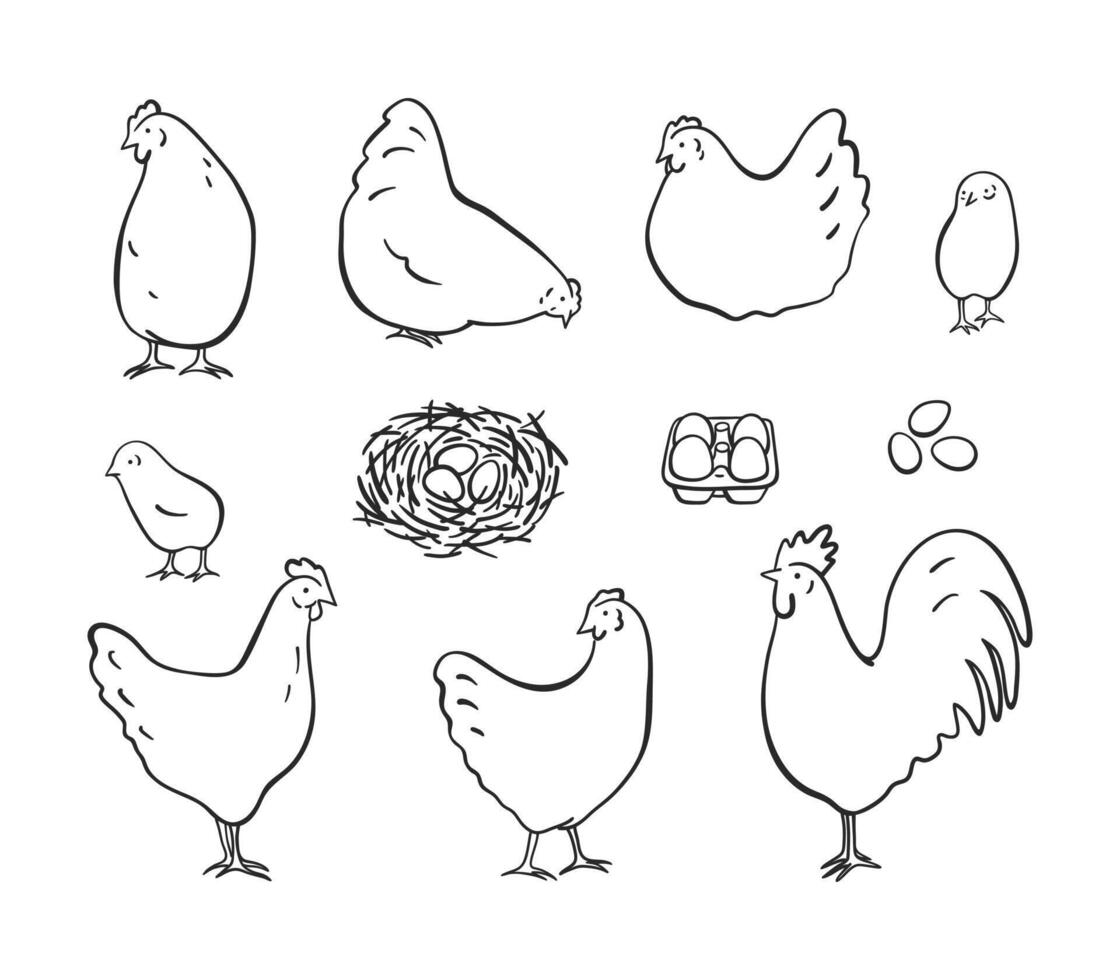 Geflügel - - einstellen von einfach Bauernhof Tiere Abbildungen - - Hühner, Küken, Hahn und Eier. schwarz und Weiß Farbe Stil, isoliert auf Weiß Hintergrund vektor