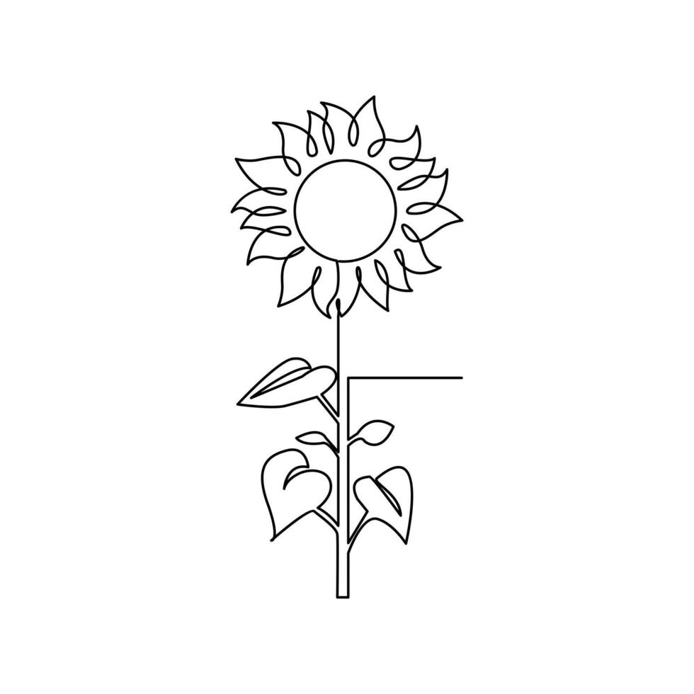 solros i en kontinuerlig ett linje stil hand dragen översikt av blomma isolerat på vit bakgrund vektor