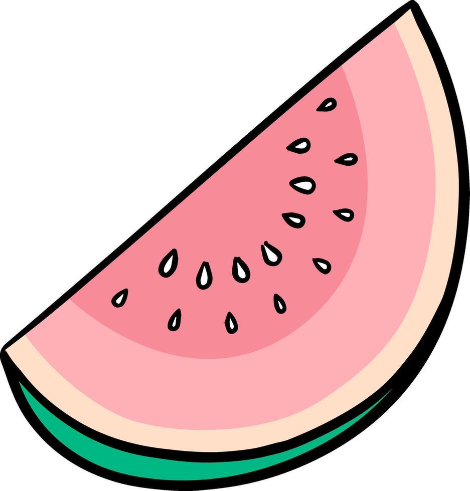frukt skiva hand dragen vattenmelon eller melon Färg vektor illustration