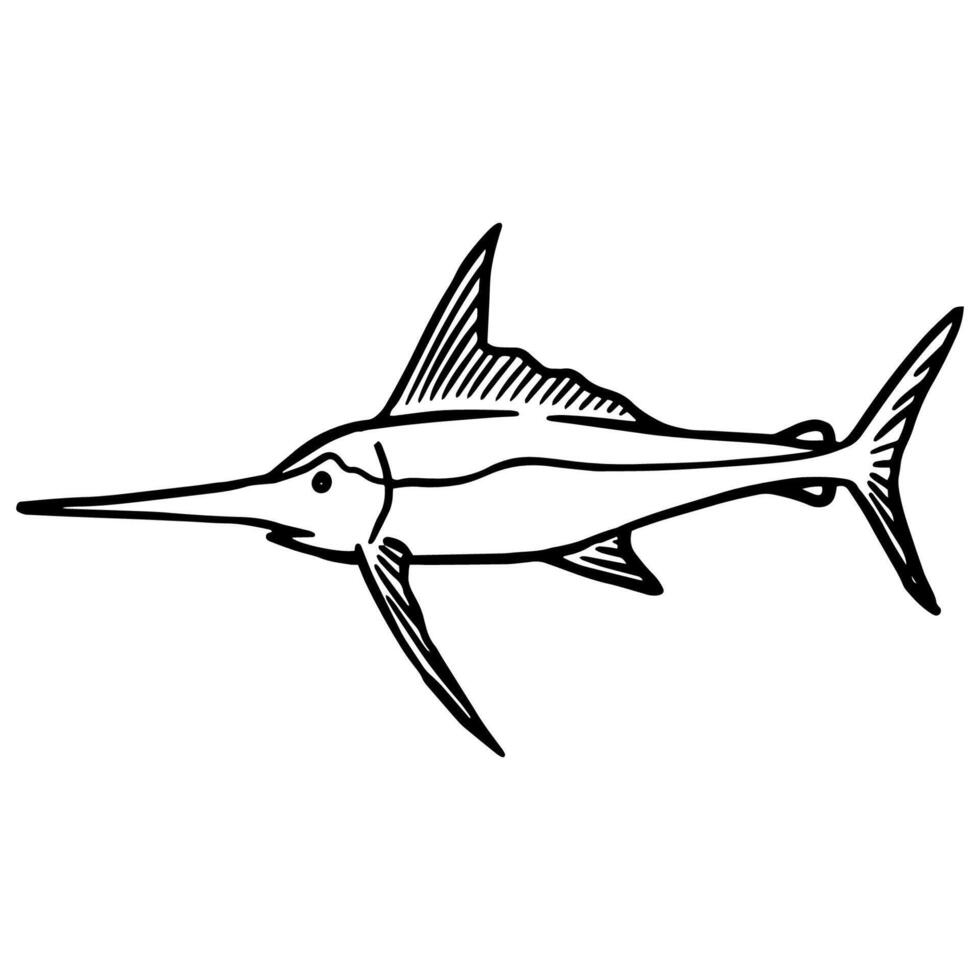 Segelfisch Symbol. Hand gezeichnet Vektor Illustration. Meer Tier Fisch Raubtier