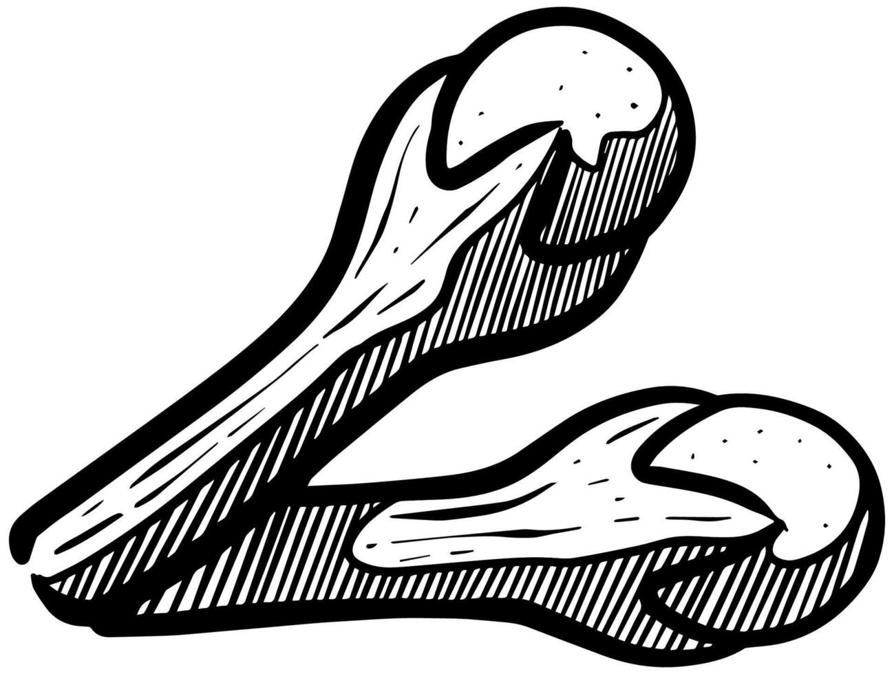kryddnejlika hand dragen vektor illustration.