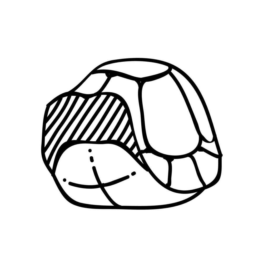 Schildkröte Schale Symbol. Hand gezeichnet Vektor Illustration. editierbar Linie Schlaganfall