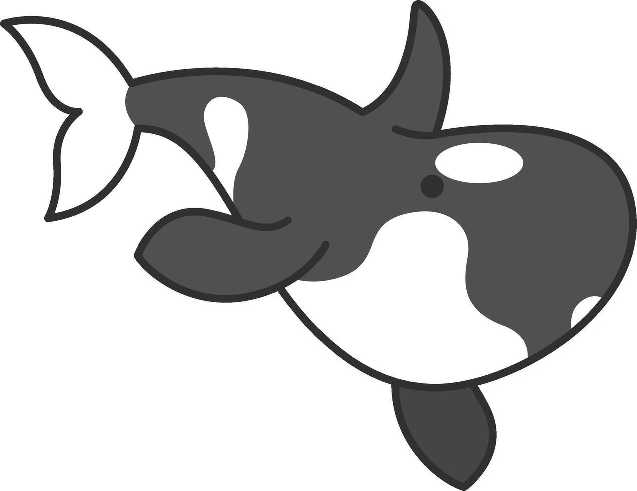 Mörder Wal Symbol im eben Farbe Stil. Säugetier Meer Tier vektor
