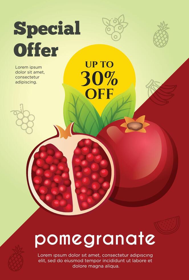 Flyer Besondere Angebot zum Granatapfel Obst Produkt. Obst Beförderung Flyer vektor