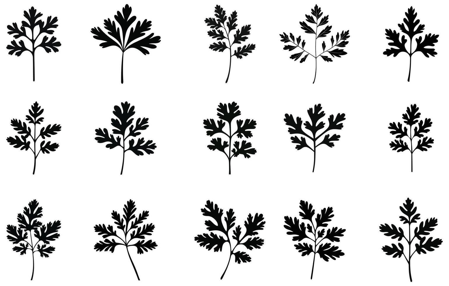 Koriander Blätter Silhouette. Elemente zum das Design von das Pflanze Muster vektor