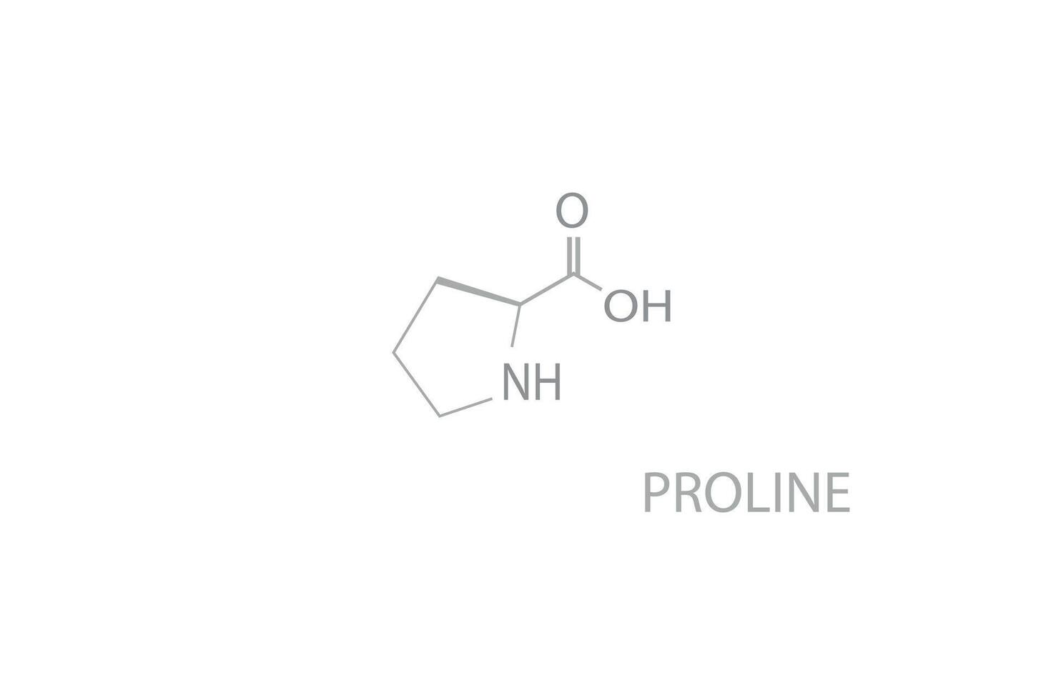 prolin molekular Skelett- chemisch Formel vektor