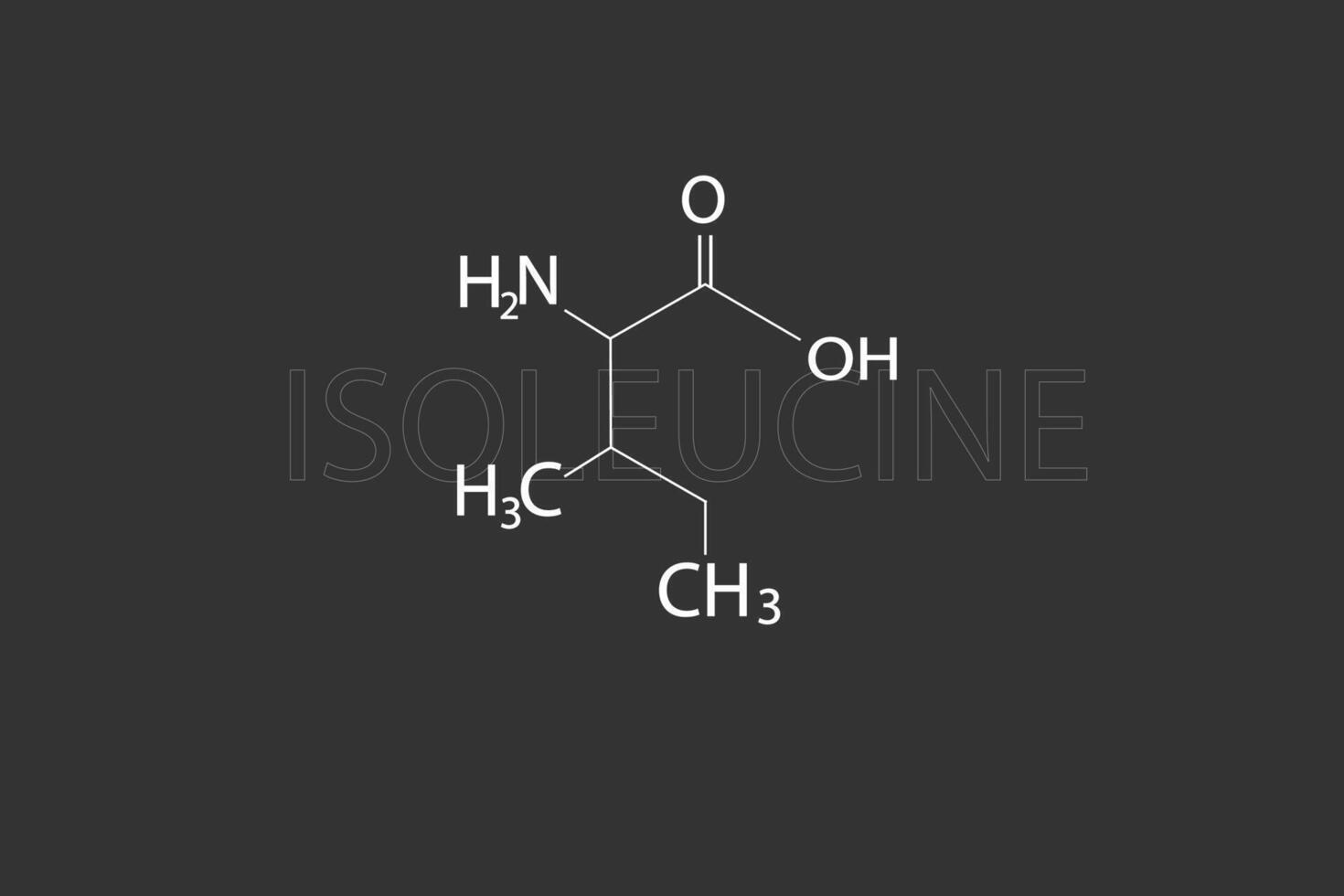 Isoleucin molekular Skelett- chemisch Formel vektor