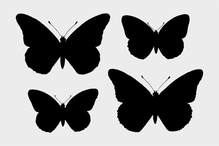 Monarchfalter (Danais Archippus) aus Motten und Schmetterlingen der Vereinigten Staaten (1900) von Sherman F. Denton (1856-1937). Digital verbessert durch Rawpixel. vektor