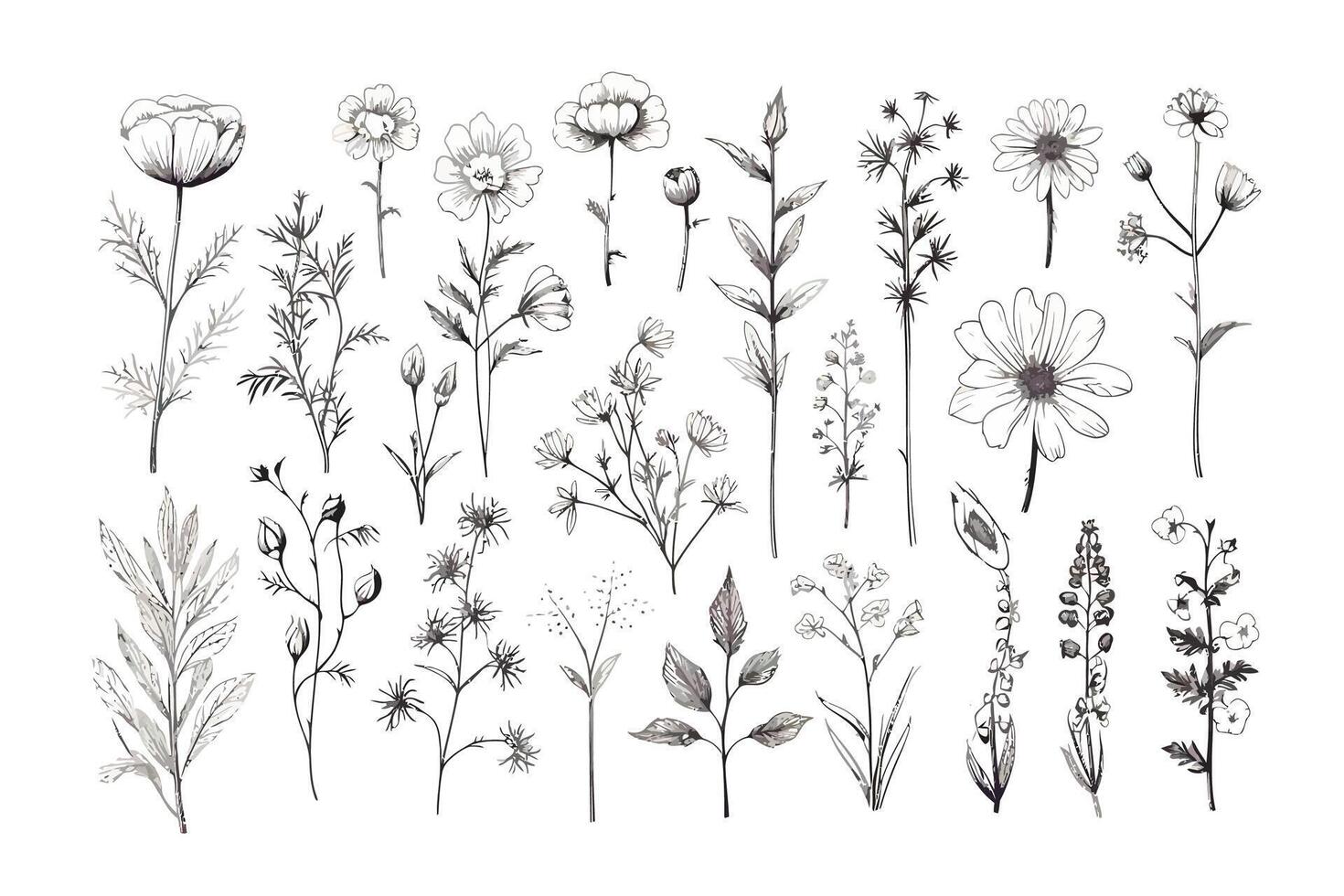 samling av annorlunda medicinsk örter, natur botanisk dekorativ samling. vektor illustration isolerat samling tropisk blad uppsättning