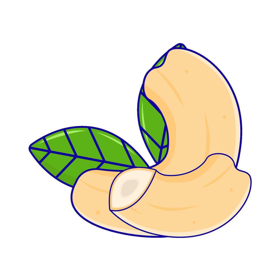 Cashew Nüsse mit Blatt Illustration vektor