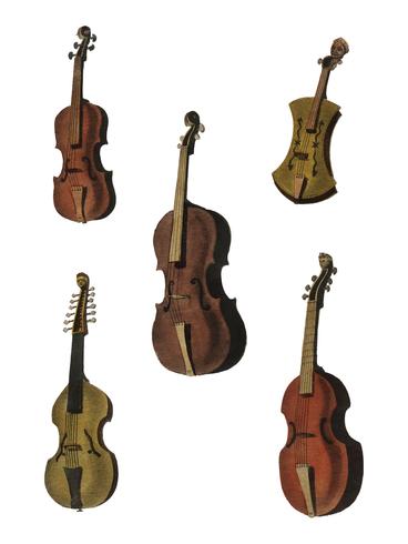 Eine Sammlung antiker Violine, Viola, Cello und mehr von Encyclopedia Londinensis oder Universalwörterbuch der Künste, der Wissenschaften und der Literatur (1810). Digital verbessert durch Rawpixel. vektor