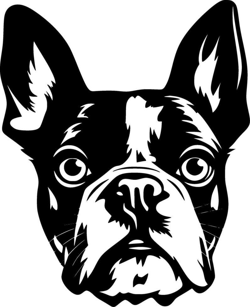 boston terrier, svart och vit vektor illustration