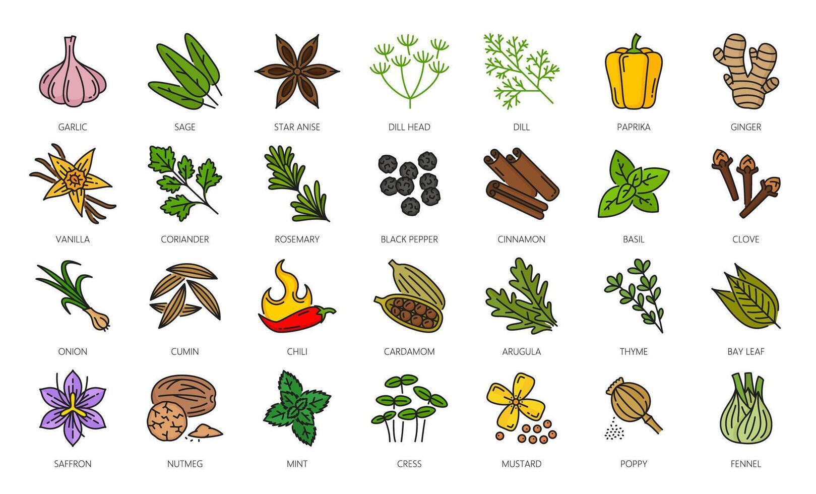 krydda, örter och kök kryddor översikt ikoner vektor