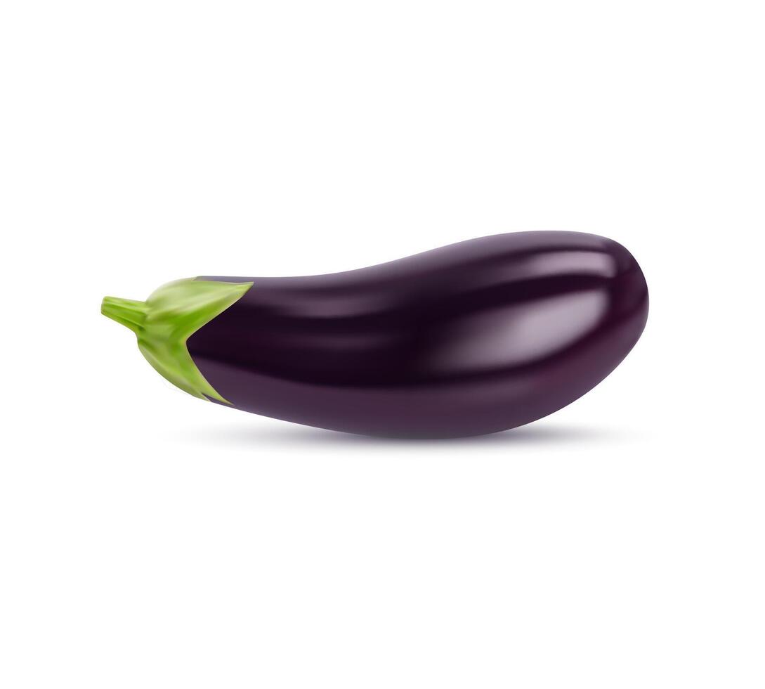 realistisch roh isoliert Aubergine, ganze Gemüse vektor