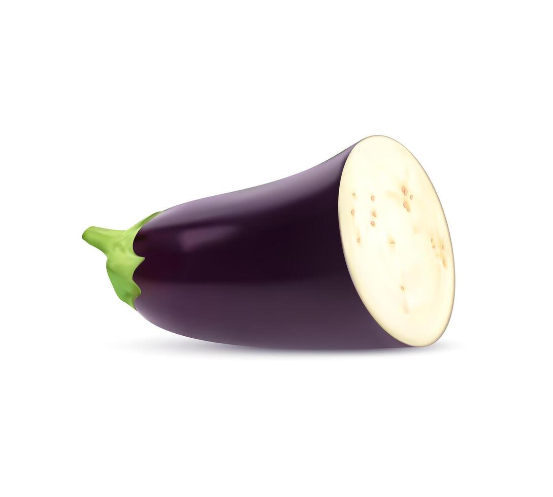 realistisch roh isoliert Aubergine Gemüse Hälfte vektor