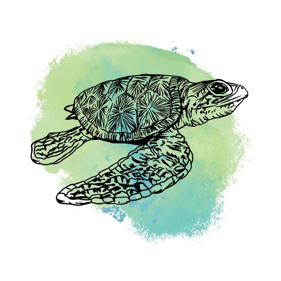 Schildkröte, Grafik. Vektor Illustration auf ein Blau Stelle Hintergrund. Design Element zum Karten, Einladungen, Banner, Flyer, Abdeckungen, Etiketten, Plakate.