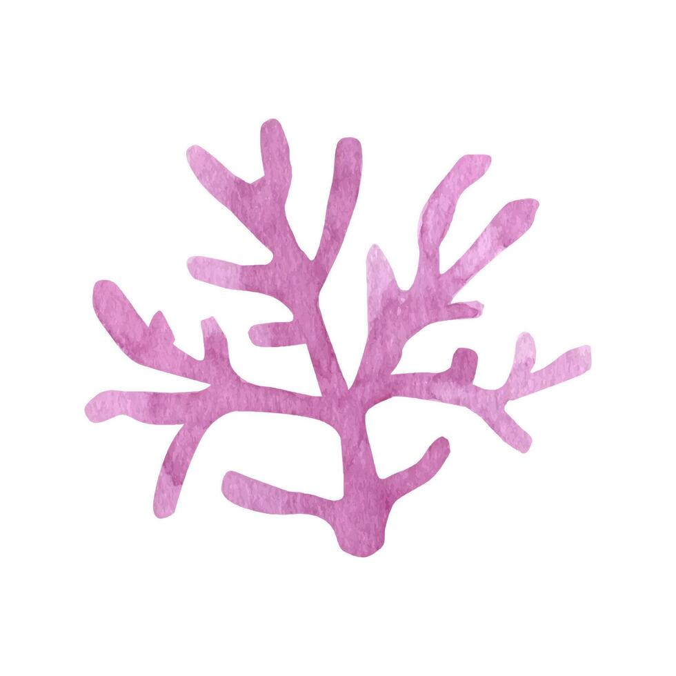 söt korall, sommar ClipArt. hand dragen vattenfärg illustration vektor
