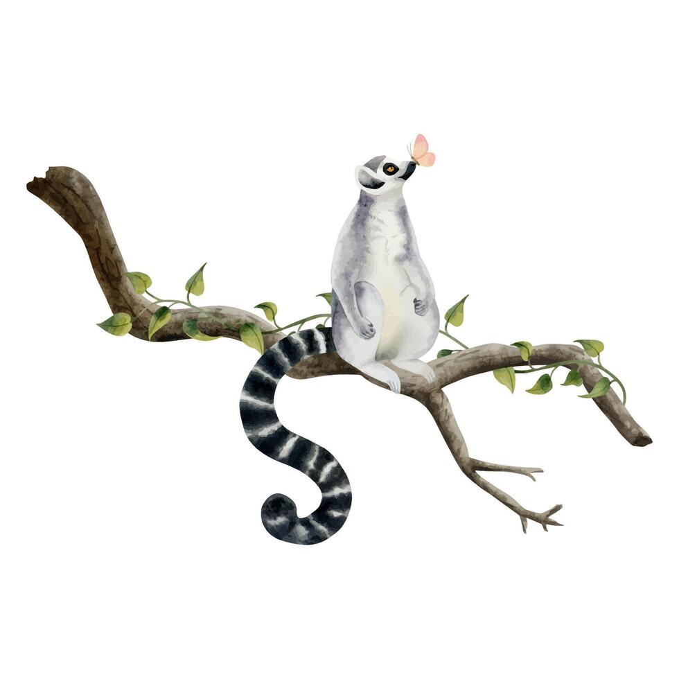 komisch Lemur mit Rosa Schmetterling auf es ist Nase Sitzung auf ein Ast mit tropisch Ranke Aquarell Vektor Illustration