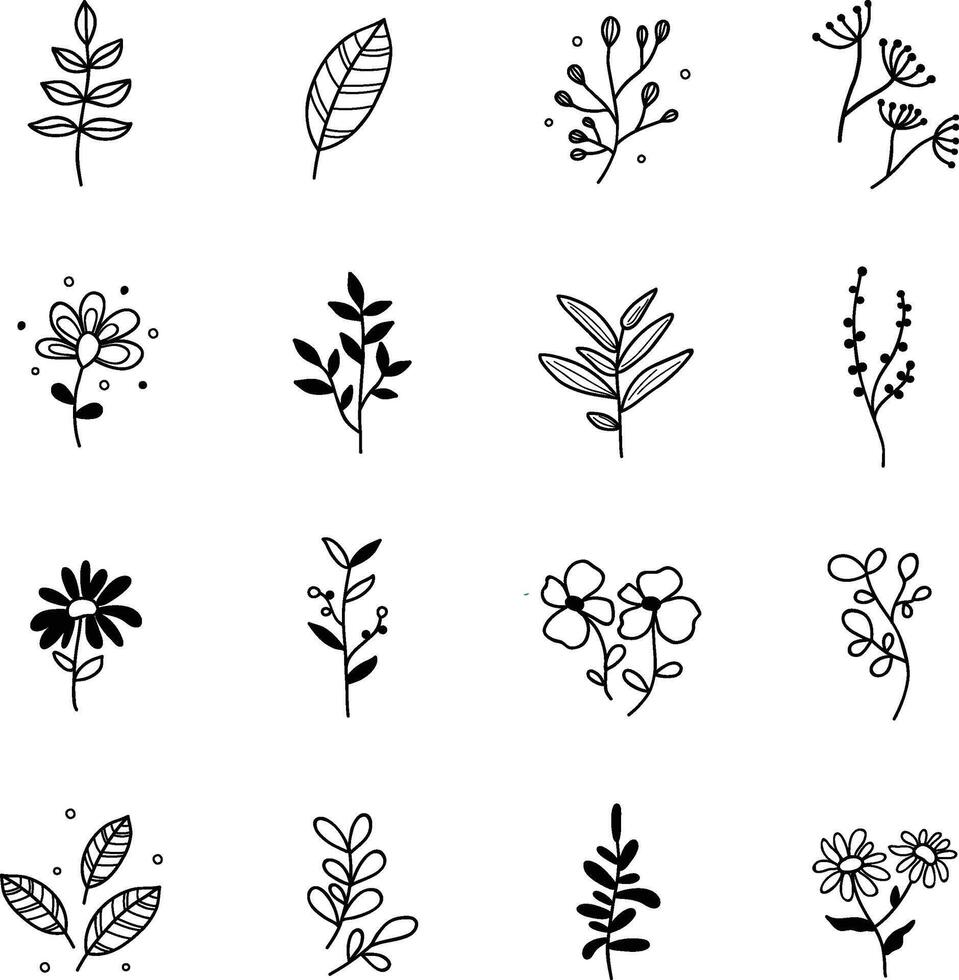 Blätter und Blumen mit Weiß Hintergrund vektor