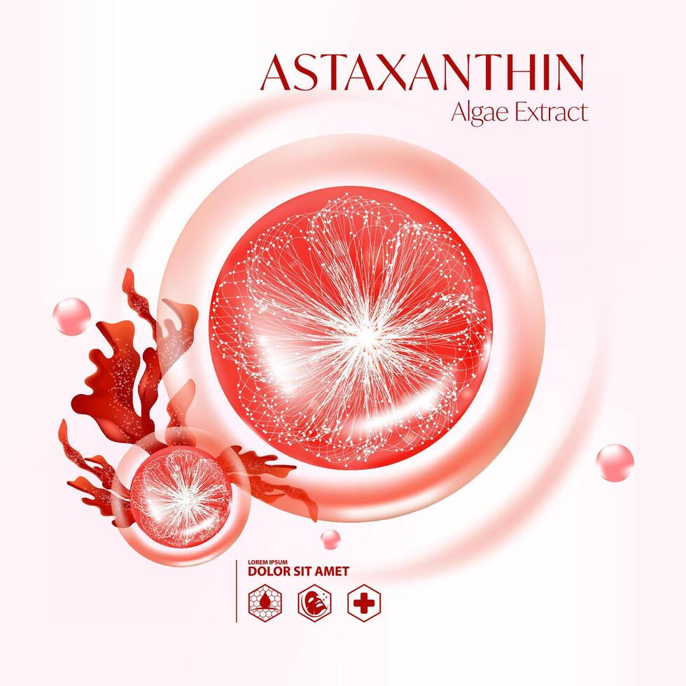 Astaxanthin Algen Extrakt Serum Haut Pflege kosmetisch vektor