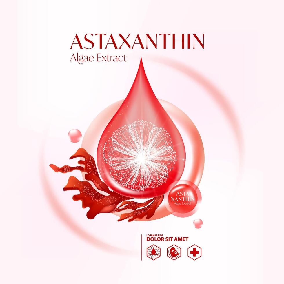 astaxantin alger extrahera serum hud vård kosmetisk vektor