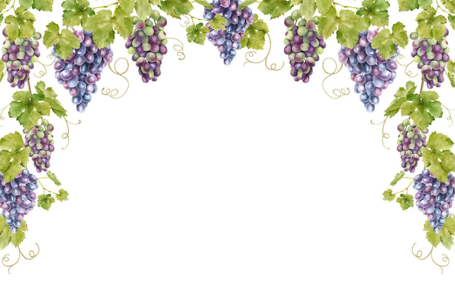 ram av knippa röd vindruvor med löv. mall av vin. isolerat vattenfärg illustrationer för de design av etiketter av vin, druva juice och kosmetika, bröllop kort, brevpapper, hälsningar kort vektor