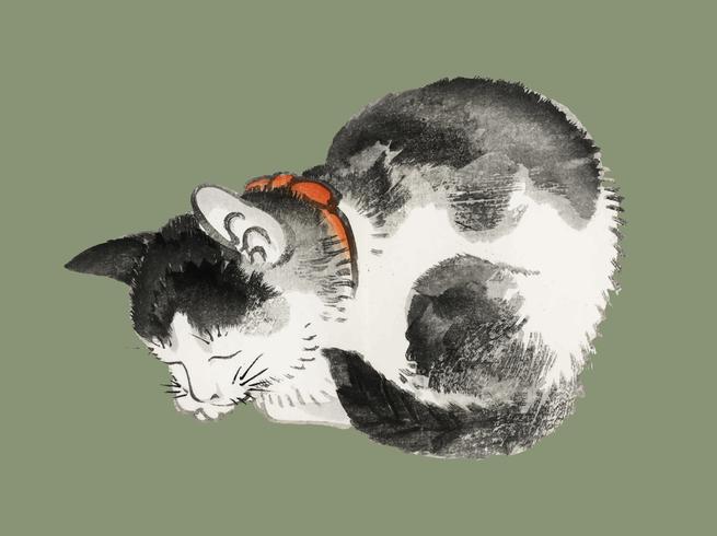 Schlafende Katze von K? No Bairei (1844-1895). Digital verbessert aus unserer eigenen Originalausgabe von Bairei Gakan von 1913 vektor
