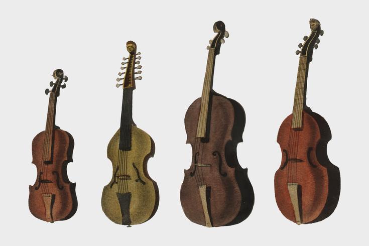 Eine Sammlung antiker Violine, Viola, Cello und mehr von Encyclopedia Londinensis oder Universalwörterbuch der Künste, der Wissenschaften und der Literatur (1810). Digital verbessert durch Rawpixel. vektor