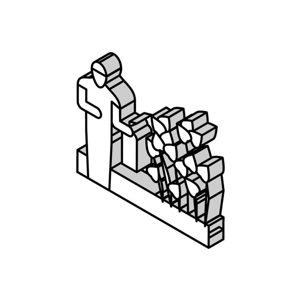 japansk knotweed avlägsnande isometrisk ikon vektor illustration