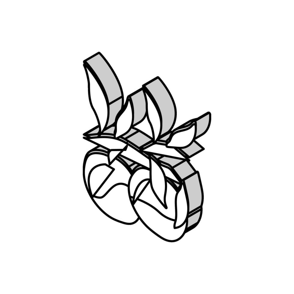 växt gren nektarin isometrisk ikon vektor illustration