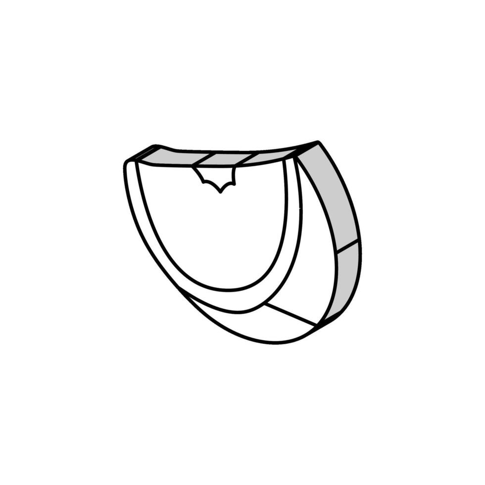 färsk orange skiva isometrisk ikon vektor illustration