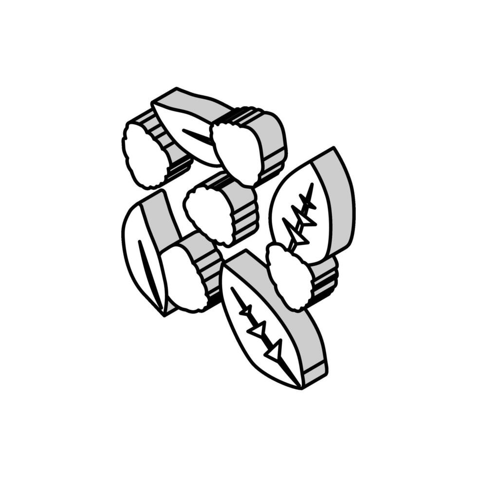 Bündel von Brombeeren reif Blatt isometrisch Symbol Vektor Illustration