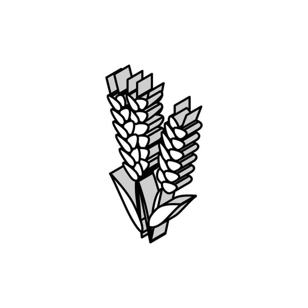 Ohr Gerste Ernte isometrisch Symbol Vektor Illustration