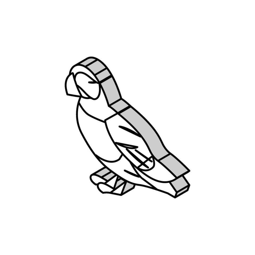 atlanten lunnefågel fågel exotisk isometrisk ikon vektor illustration