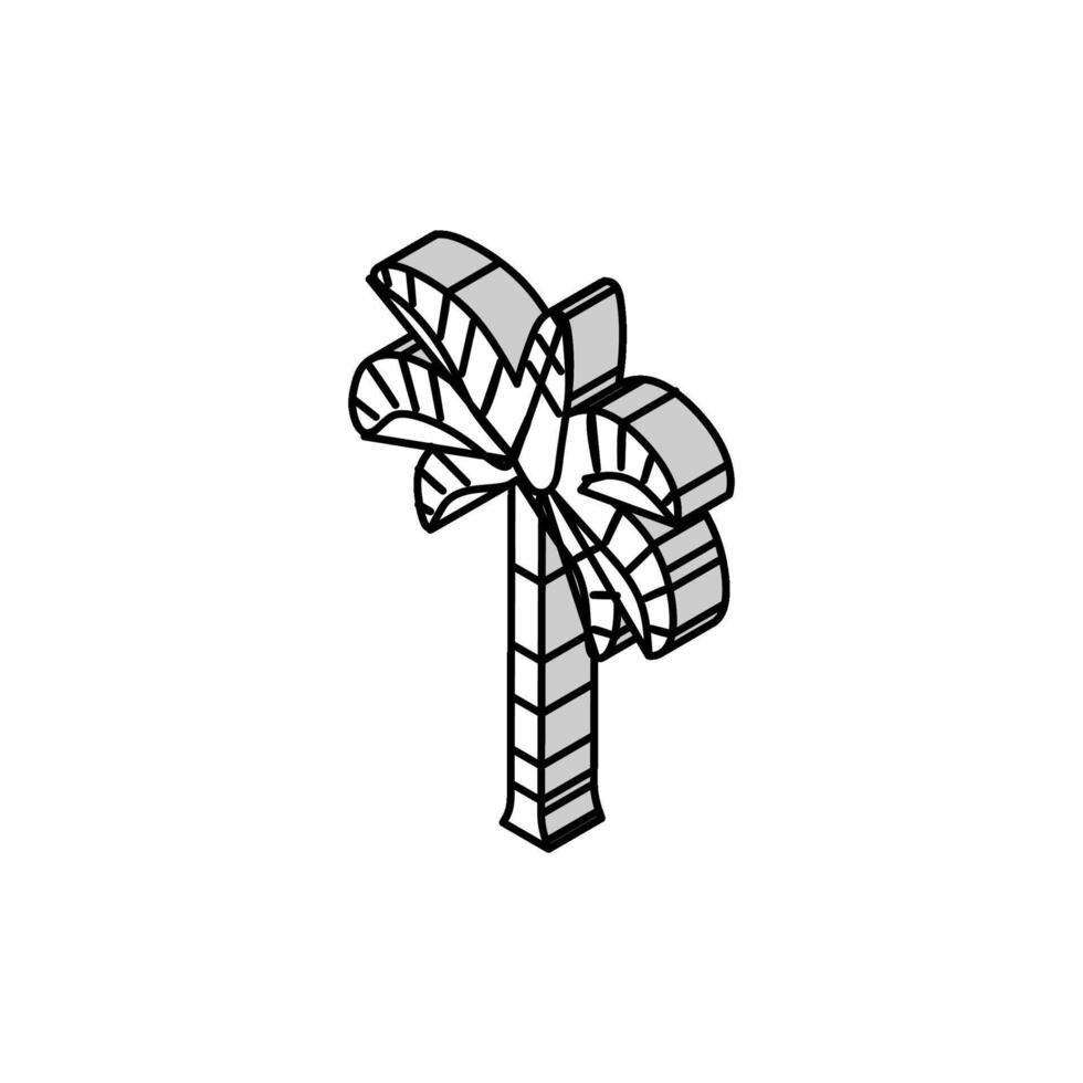 Fuchsschwanz Palme Baum isometrisch Symbol Vektor Illustration