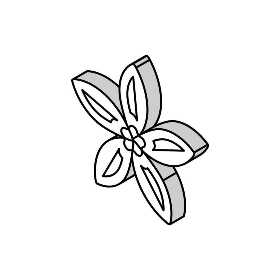 Jasmin Blume Frühling isometrisch Symbol Vektor Illustration
