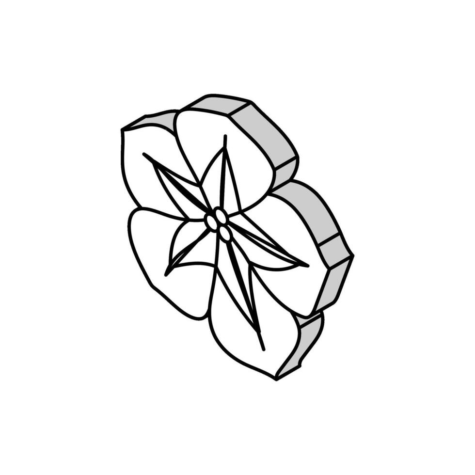 petunia blomma vår isometrisk ikon vektor illustration