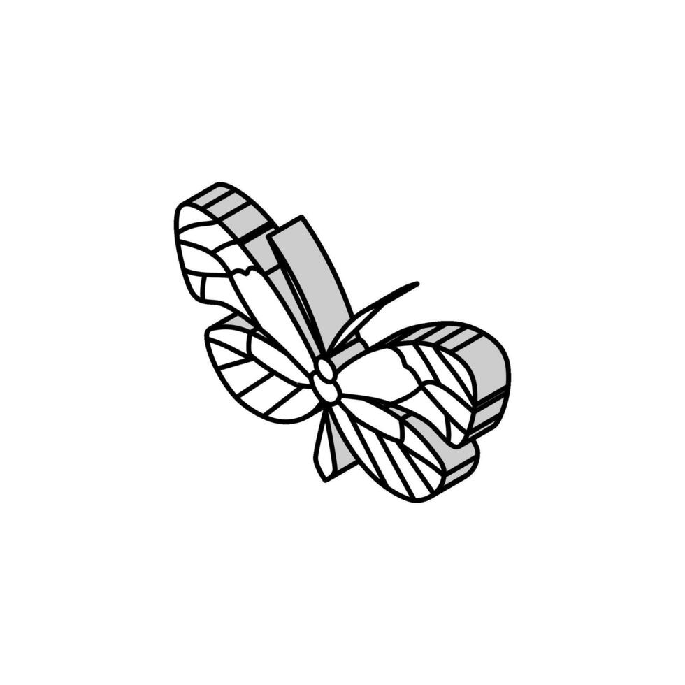 Glasflügel Schmetterling Frühling isometrisch Symbol Vektor Illustration