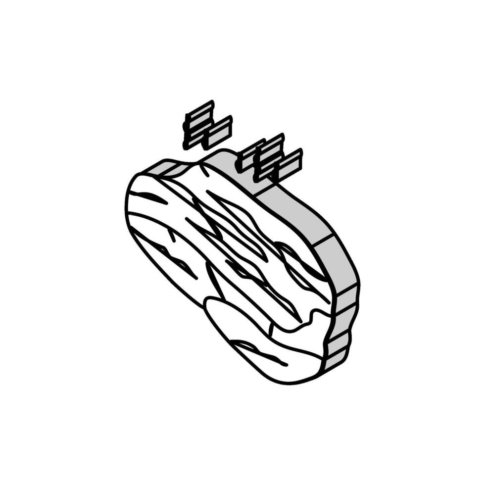 kött rökt isometrisk ikon vektor illustration