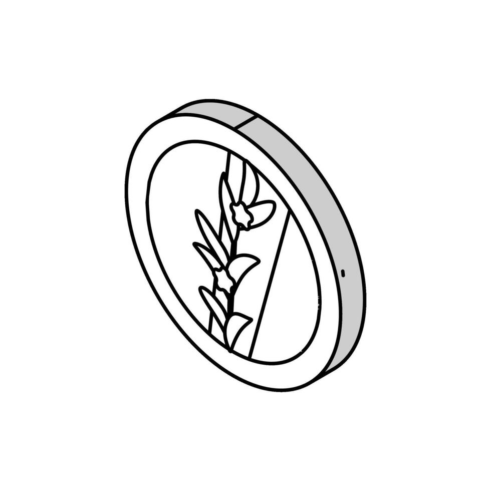 Rosmarin kosmetisch Pflanze isometrisch Symbol Vektor Illustration
