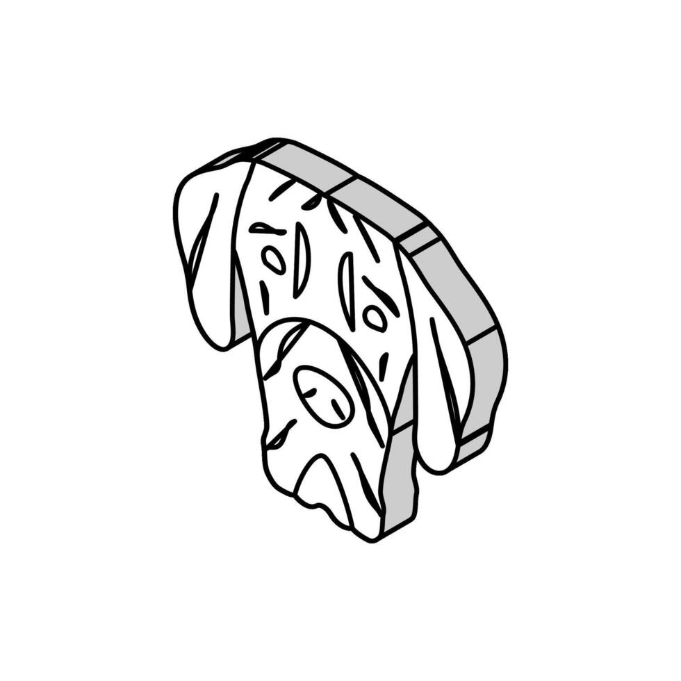 großartig Däne Hund Hündchen Haustier isometrisch Symbol Vektor Illustration