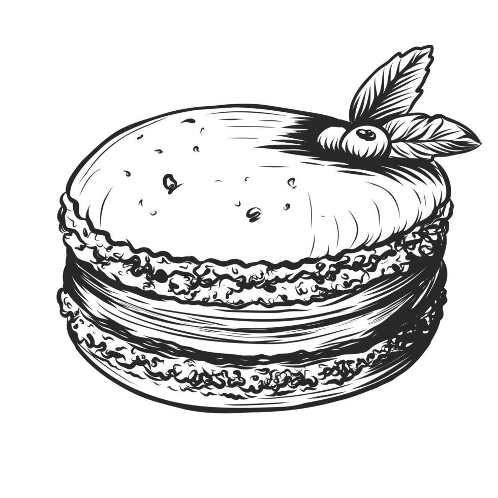 franska efterrätt macaron träsnitt skiss. franska bakverk. hand dragen skiss vektor illustration isolerat på vit. graverat macaron för meny omslag, logotyp, förpackning design, visa fönster.