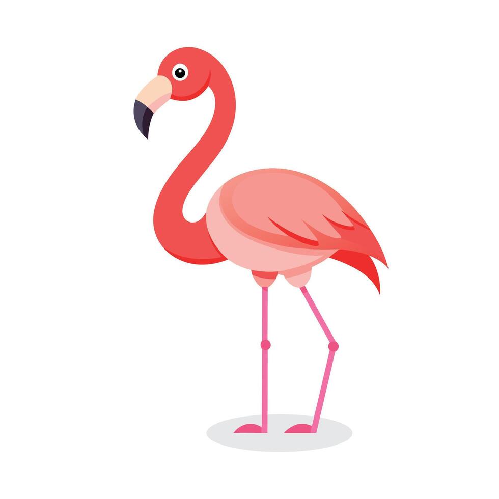 flamingos platt vektor illustration på vit bakgrund.