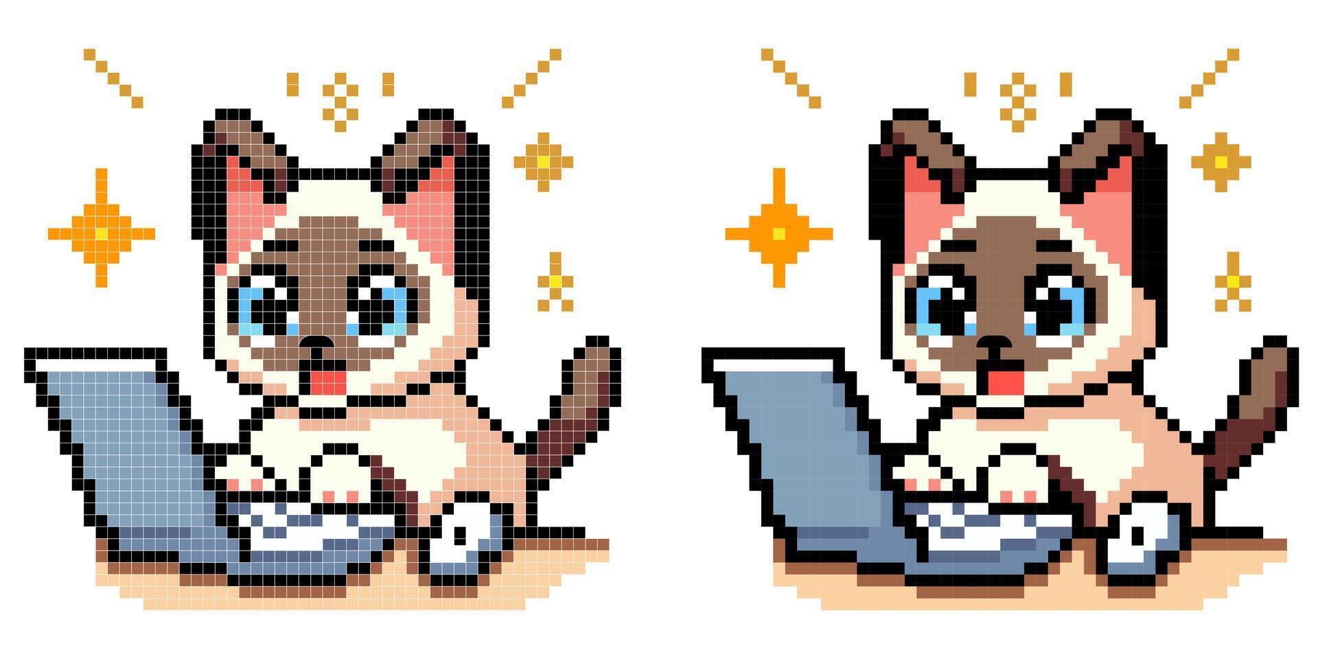 Vektor Pixel Kunst Symbol mit Siamese Katze Tippen auf ein Computer mit ein überrascht Gesicht auf ein Weiß Hintergrund