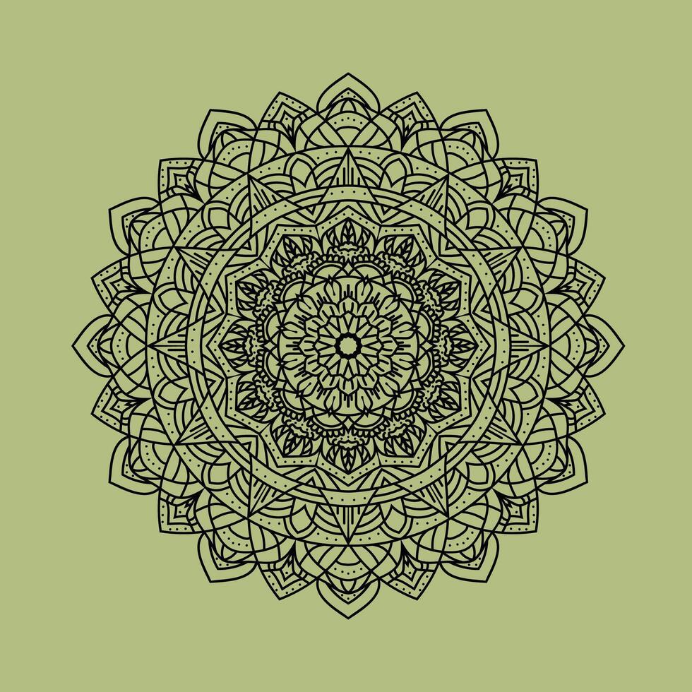 luxuriös mandala, Mandala Design, ethnisch dekorativ Element. Hand gezeichnet Hintergrund. Islam, Arabisch, indisch, Ottomane Motive. Retro-inspiriert Mandala vektor