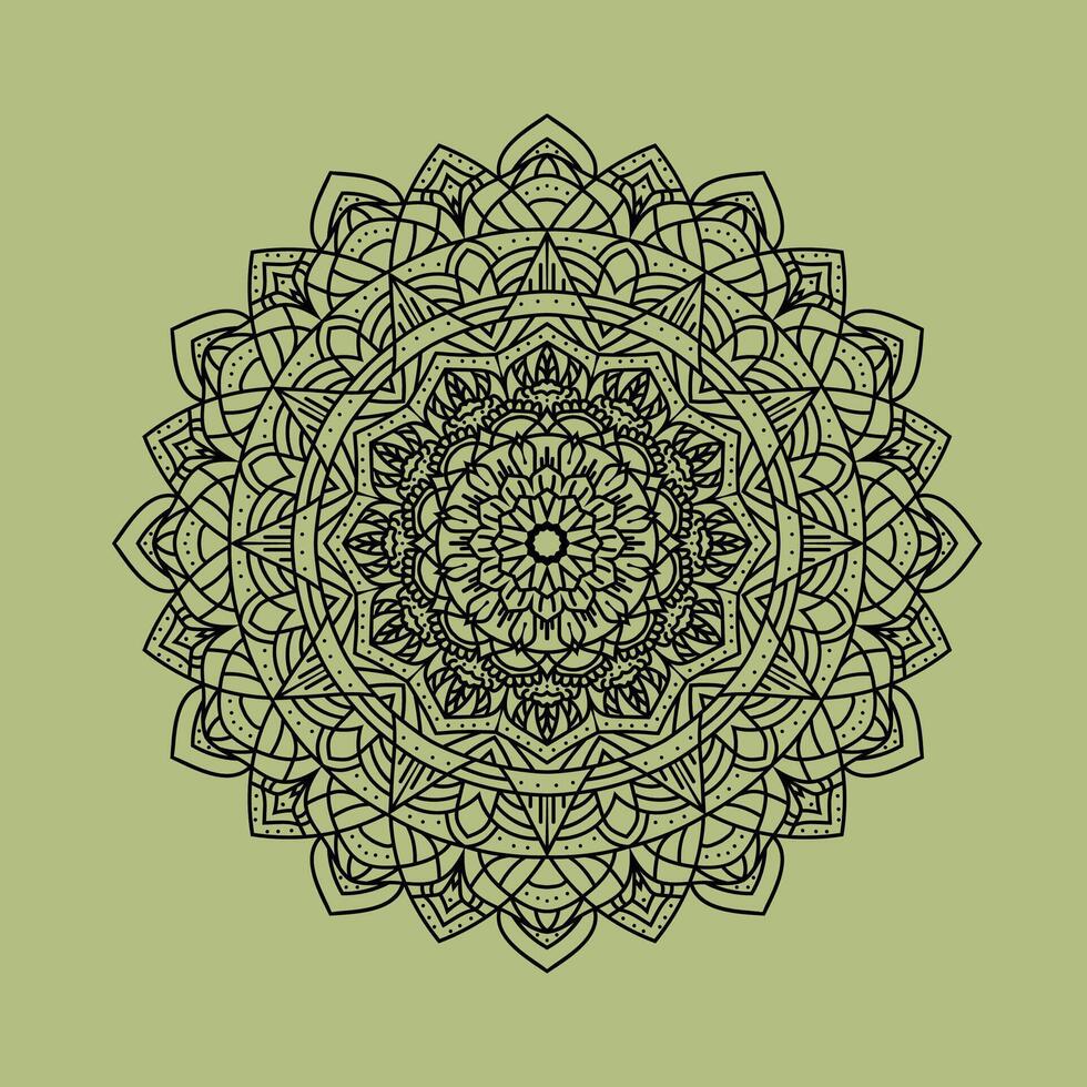 lyxig mandala, mandala design, etnisk dekorativ element. hand dragen bakgrund. islam, arabiska, indian, ottoman motiv. retroinspirerad mandala vektor