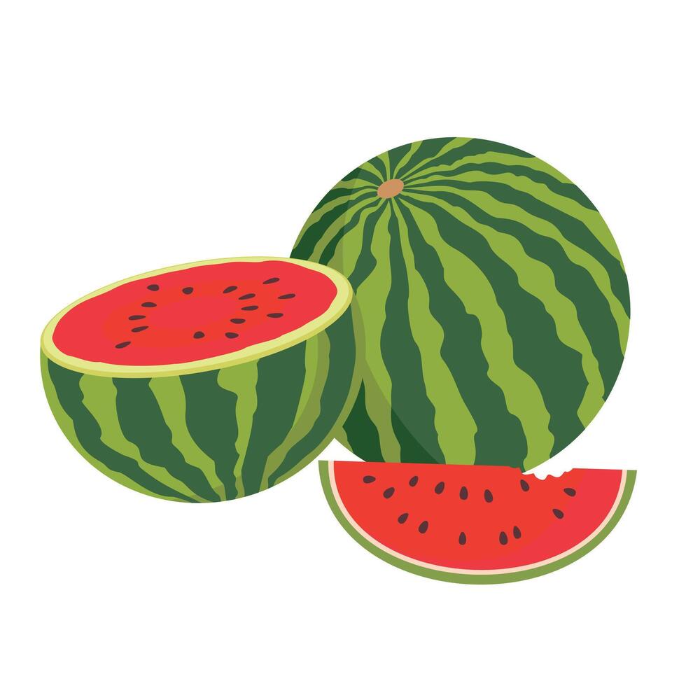 en mogen vattenmelon är hela och halv. en grupp av hela vattenmelon, halvor och skivor. vektor illustrerade ClipArt.