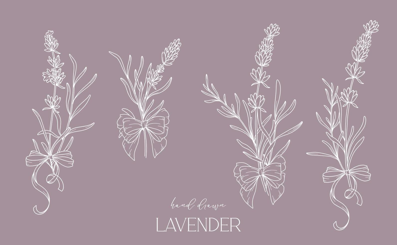 lavendel- linje teckning. svart och vit blommig buketter. blomma färg sida. blommig linje konst. bra linje lavendel- illustration. hand dragen blommor. botanisk färg. bröllop inbjudan blommor vektor