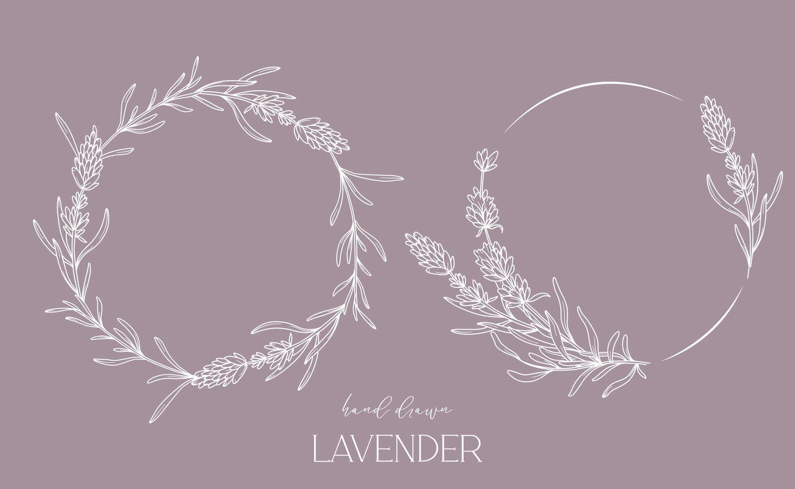 Lavendel Linie Zeichnung. schwarz und Weiß Blumen- Rahmen. Blumen- Linie Kunst. fein Linie Lavendel Illustration. Hand gezeichnet Gliederung Blumen. botanisch Färbung Buchseite. Hochzeit Einladung Blumen vektor