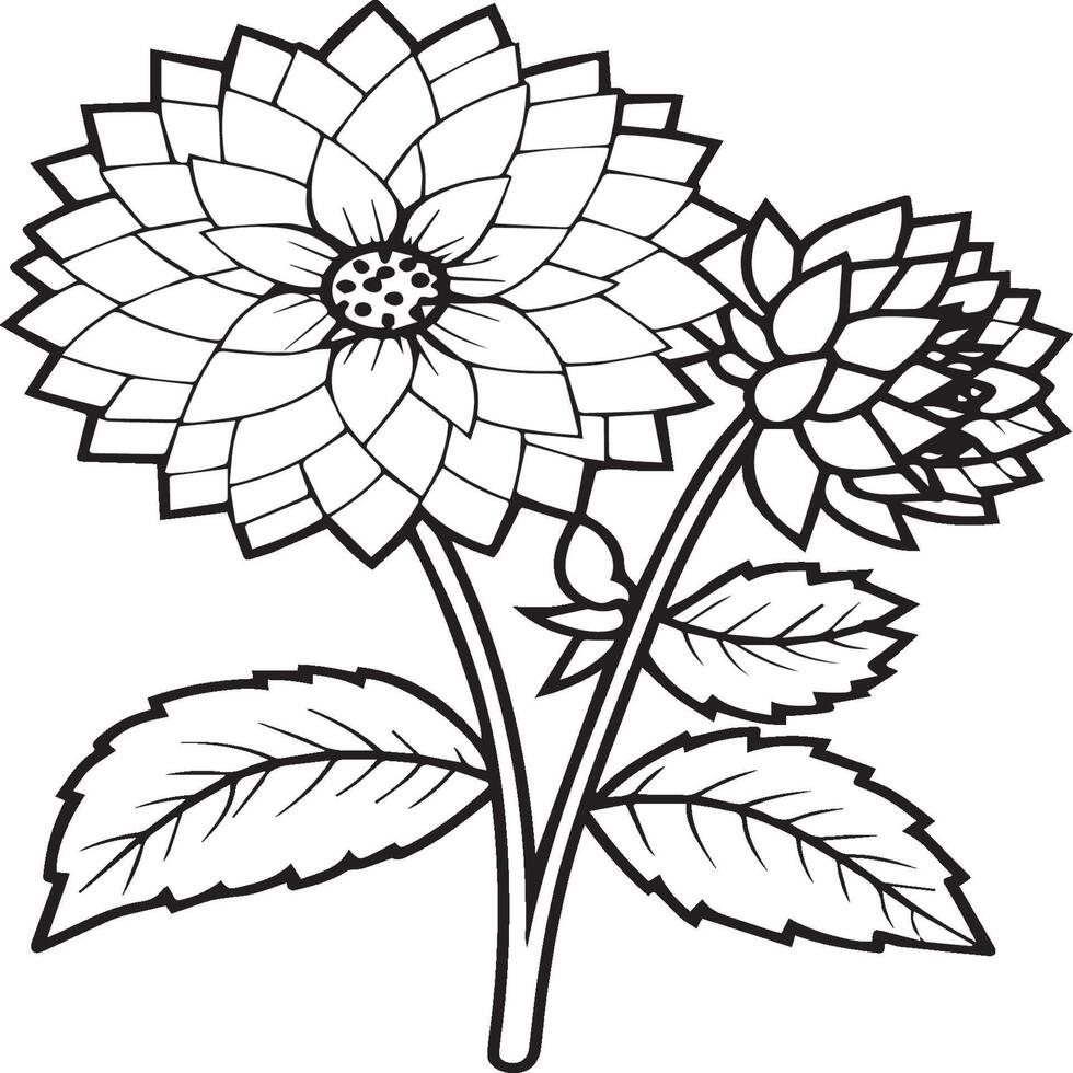Dahlie Blume Färbung Seiten. Dahlie Blumen Gliederung Vektor